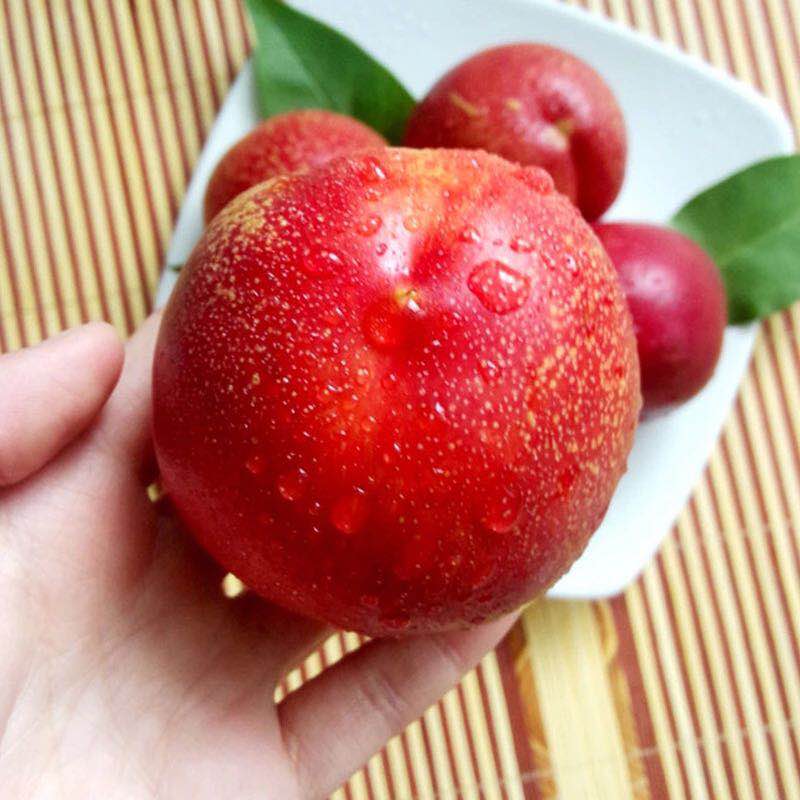 Cloud Zoom small image