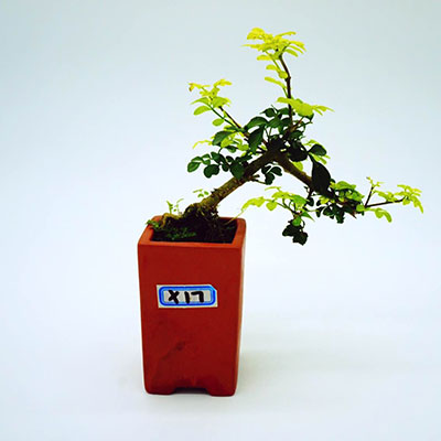 Cloud Zoom small image