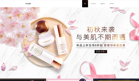 某某美容官网案例