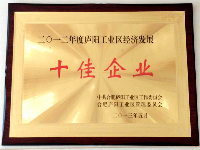 2012年度庐阳区经济发展10佳企业