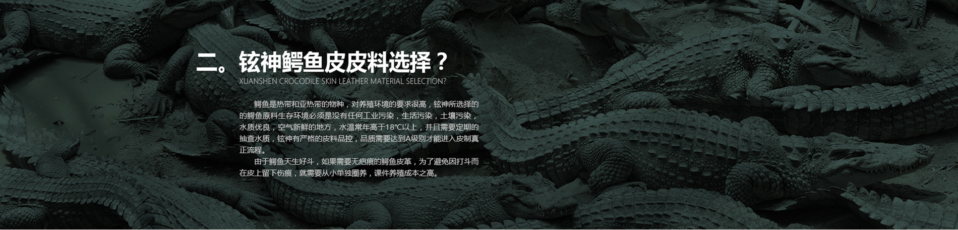 鳄鱼皮具私人订制厂家