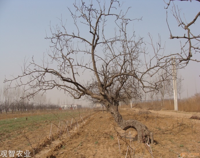 20190214143918_34502.jpg 3.jpg