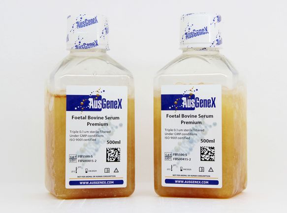 Cloud Zoom small image