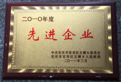 2010年度 先进企业
