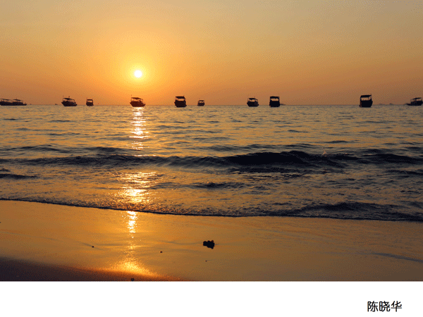 2017上期摄影班学员陈晓华作品