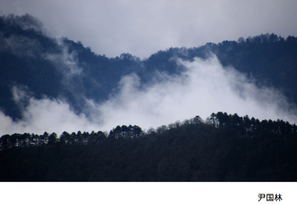 2017上期摄影班学员尹国林作品