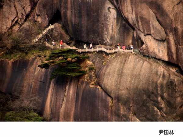 2017上期摄影班学员尹国林作品