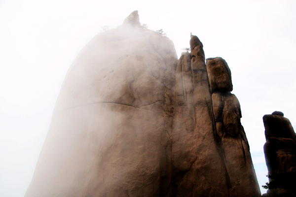 2017下期摄影班尹国林学员作品