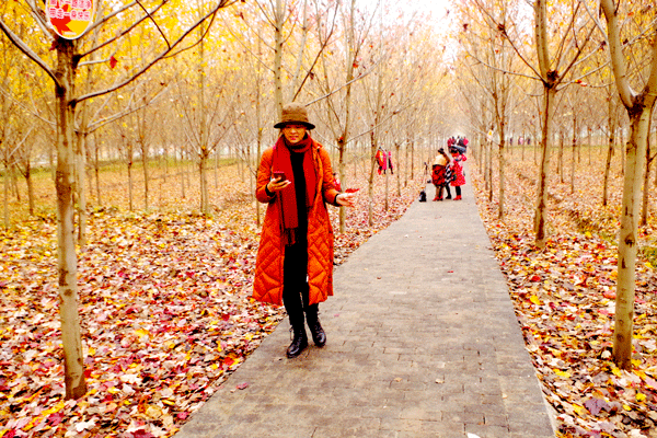 2018老年大学下期摄影班龙太富学员作品