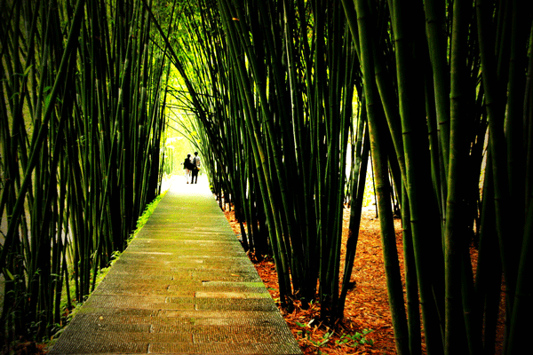 2018老年大学下期摄影班陈淑琴学员作品