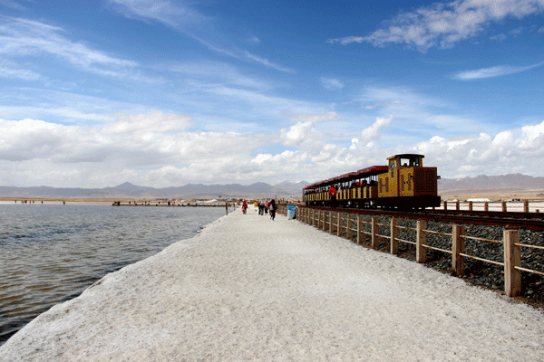 2018老年大学下期摄影班王凤贤学员作品