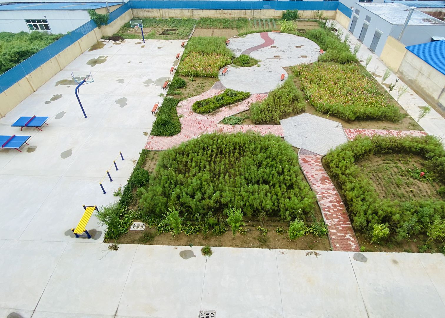 活动场地