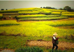 屏幕快照 2020-01-30 下午10.16.51.png