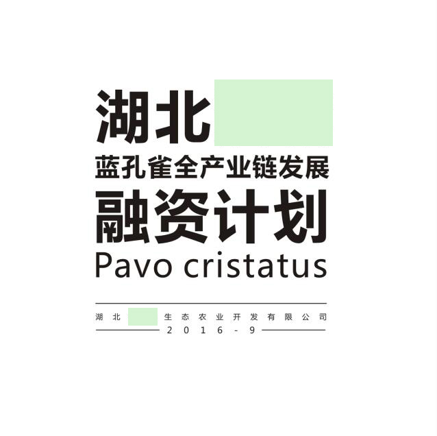 湖北XX融资计划书 