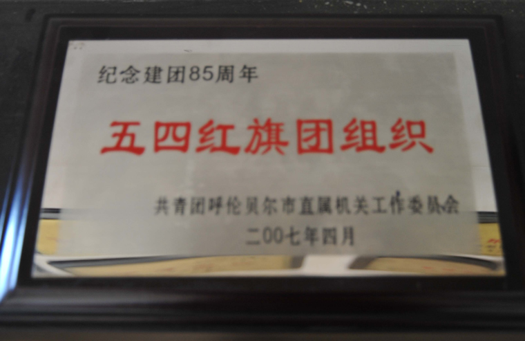 2007建团85周年建团组织奖