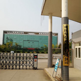 公司活动