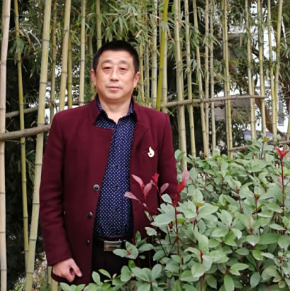 政治老师 江南