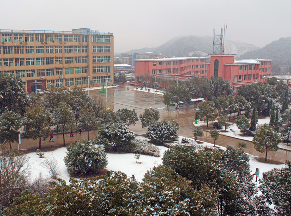 雪中博文