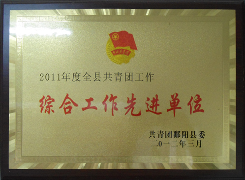 2011年度综合工作先进单位