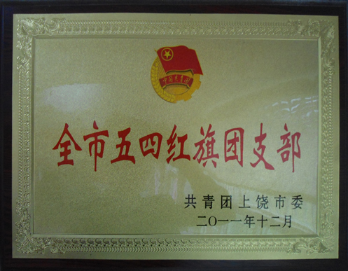 全市五四红旗团支部