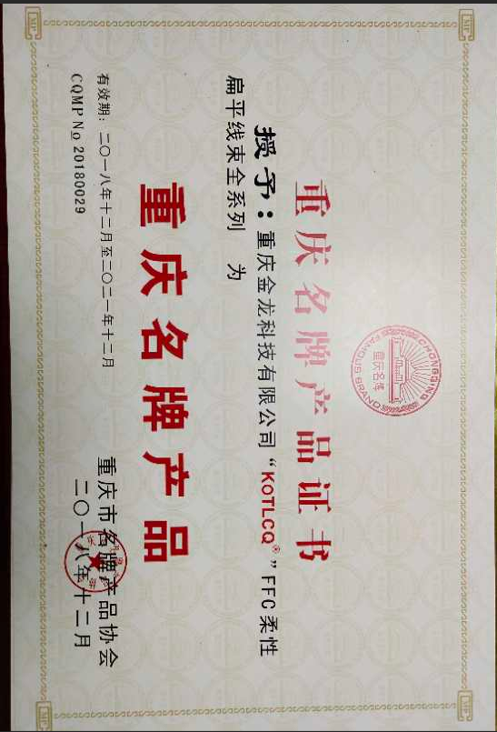 荣誉奖章2