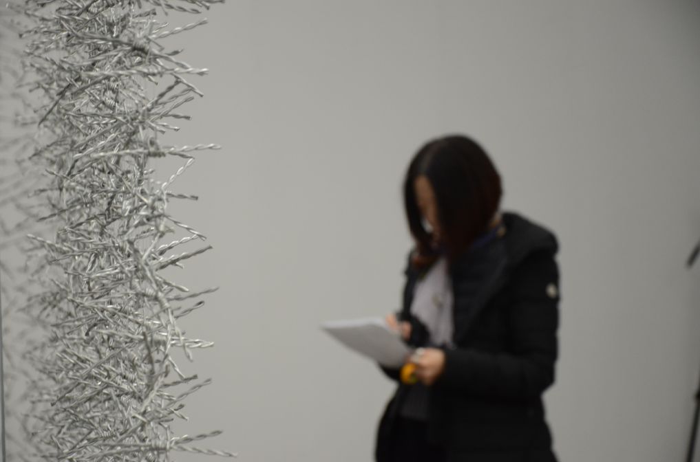 《珊瑚》｜秦玉芬大型装置展将亮相元典美术馆 