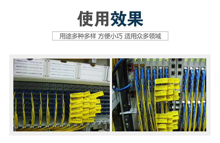 ky151283_10.jpg