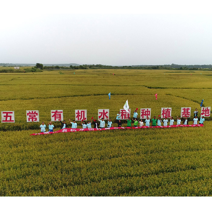 五常有机水稻基地