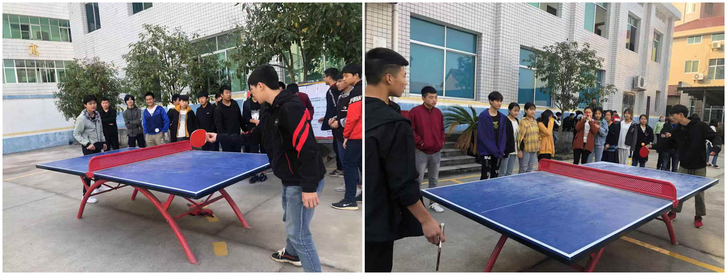运动会乒乓球比赛2