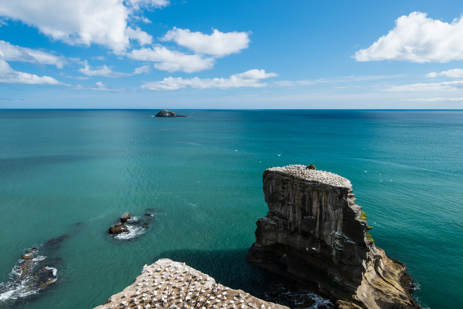 新西兰高投移民