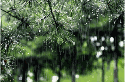下雨天和硅藻泥更配哦