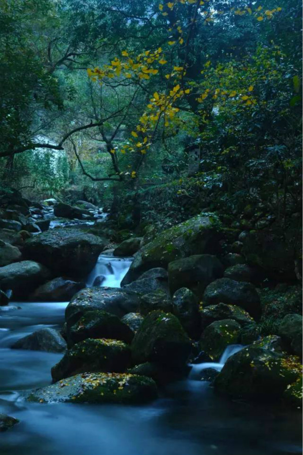 曲水通幽处（优秀奖）合肥
