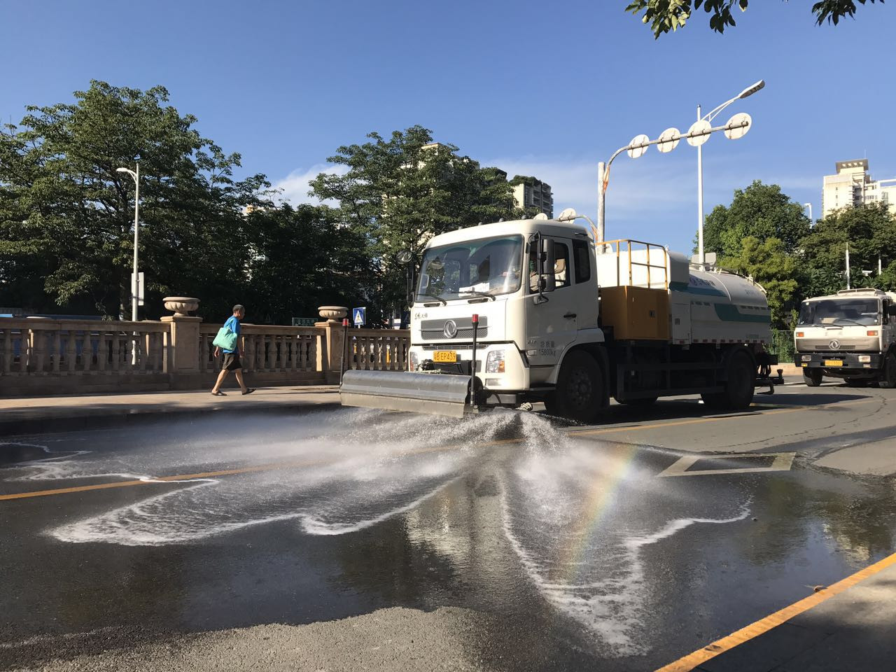 绿化展示