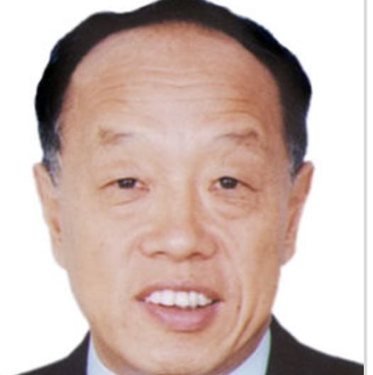 高级研究员 李肇星