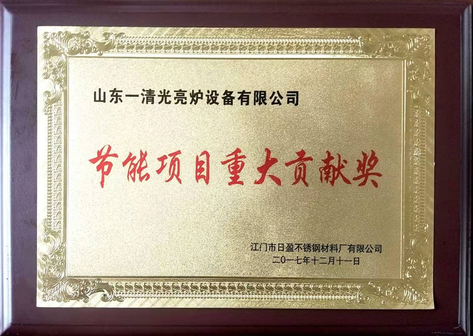 节能项目重大贡献奖