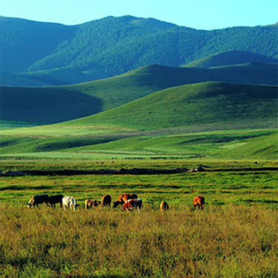 Cloud Zoom small image