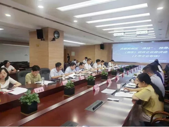 合肥高新區(qū)：力助“爆品”、獨(dú)角獸（潛在）培育企業(yè)上市