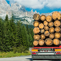 气力输送系统在木材工业生产中的应用