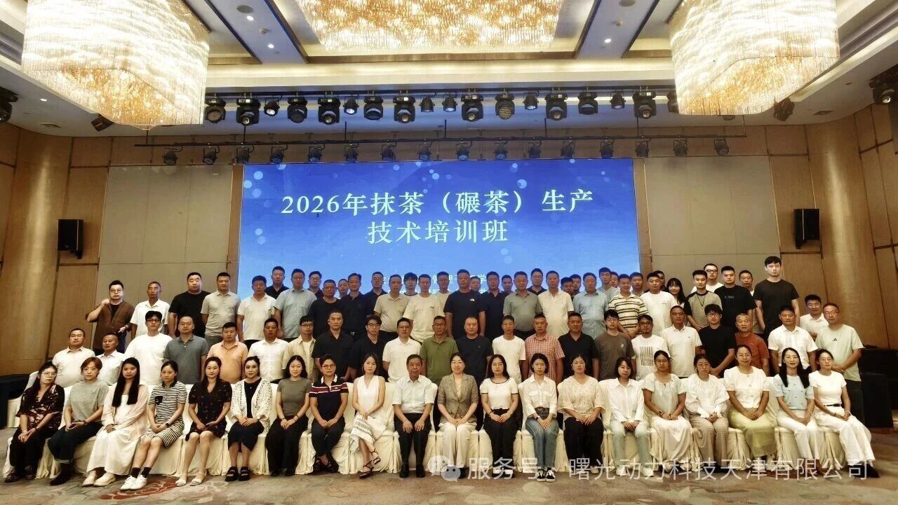 碾茶抹茶生产技术培训班-绿云一号
