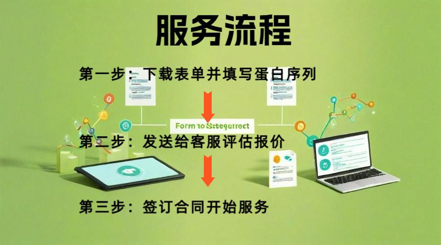 20250508153549_10313.png 服务流程 (1).png