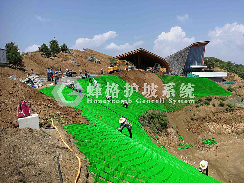  荒山修复