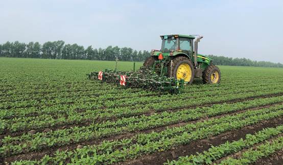 科技賦能有機(jī)產(chǎn)業(yè) 助力親民食品品牌提升系列報(bào)道之基地篇