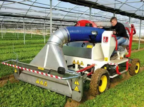 RS 78蔬菜茎叶收获机/Baby Leaf Harvester