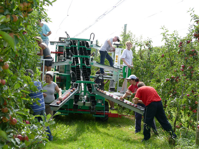 AF-10苹果收获平台/Apple harvesting platform
