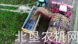 Agrifac公司自走式甜菜收获机