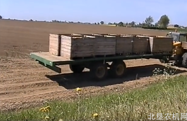 马铃薯机械化种植过程