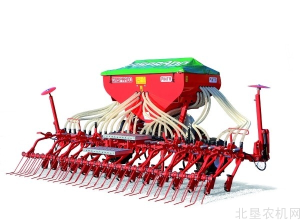 马斯奇奥圣诞节祝福短片