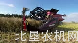 凯斯8240收割机配麦克唐FD75挠性割台作业