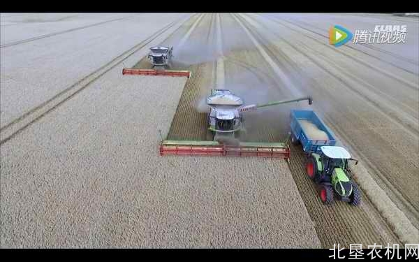克拉斯LEXION 780收获机收获小麦