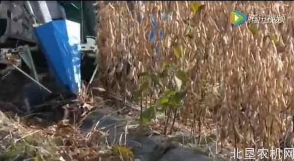 豆类收获机合集